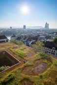 Flachdach_2021