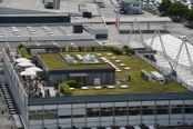 Gründach Salzburg Airport 2016
